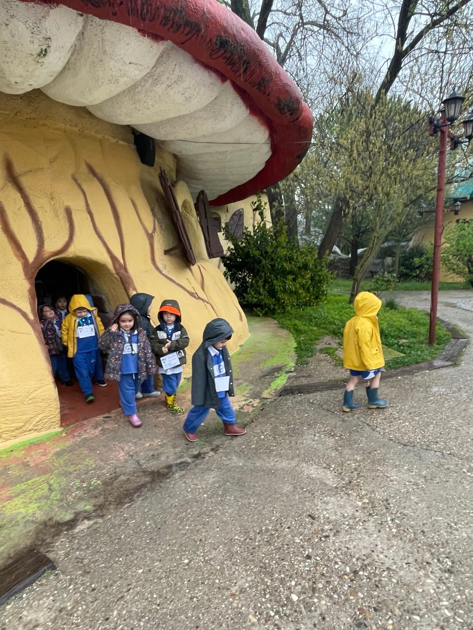 Granja 3 años 2