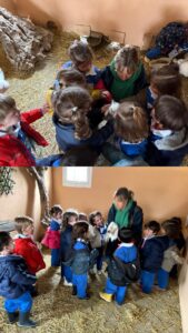 Granja 3 años 3
