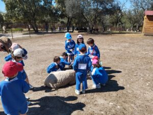 Granja 4 años 4