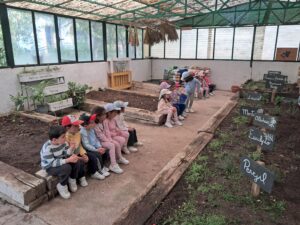 Granja 4 años 3