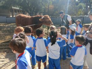 Granja 5 años