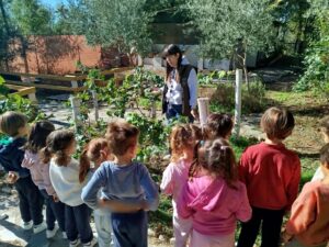 Granja 5 años