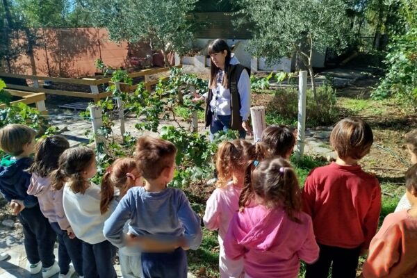 Granja 5 años
