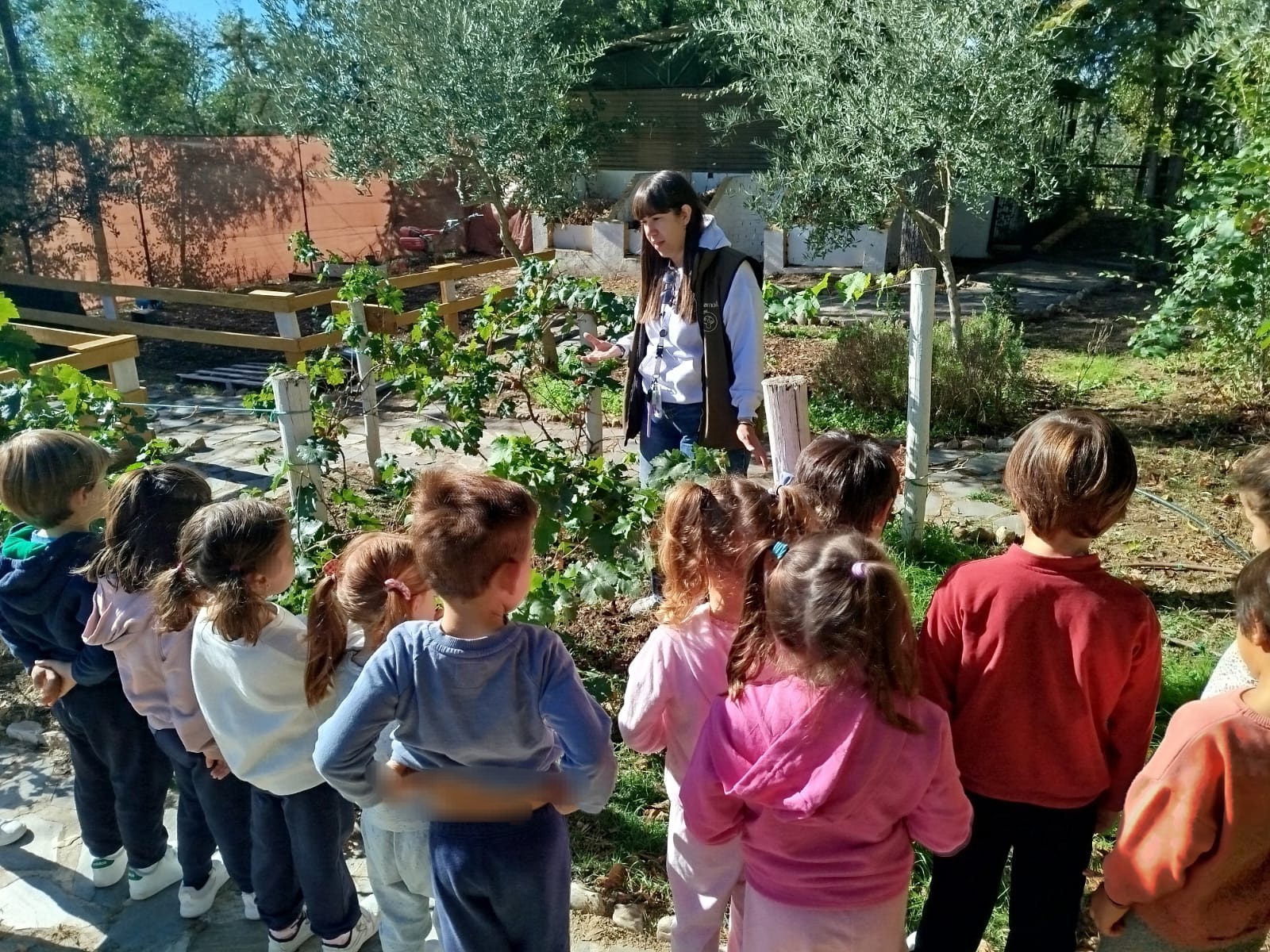 Granja 5 años